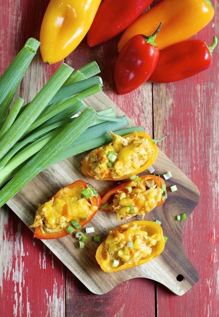 These Easy Low Carb Stuffed Pepper Recipes are loaded with flavor and perfect for keeping in line with your keto or paleo diet!  #keto