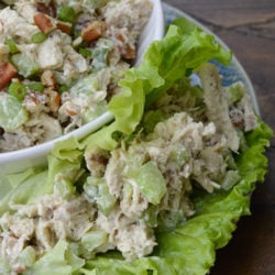 This easy Keto Chicken Salad is the perfect meal prep recipe! About 1 net carb per serving and delicious on a salad, in a lettuce wrap, or atop a keto bagel!