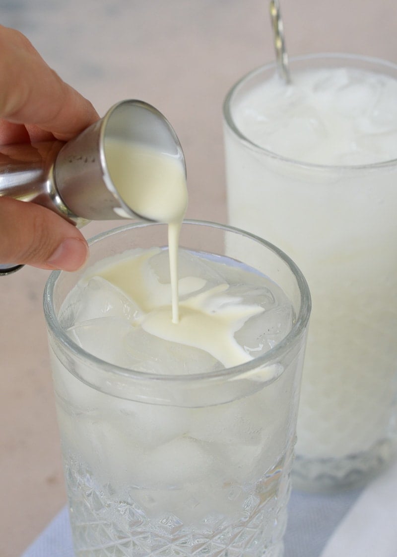 This Vanilla Cream Soda is sugar-free, low calorie, and the perfect sweet treat or party drink! Just 3 ingredients necessary for this delicious keto drink!