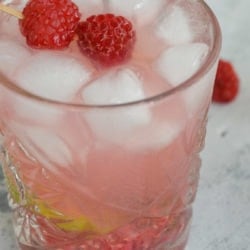 This Keto Raspberry Tequila Smash is the perfect keto drink! Mint, tequila and a sugar free simple syrup are combined in this delicious skinny cocktail, all for under 3 net carbs!