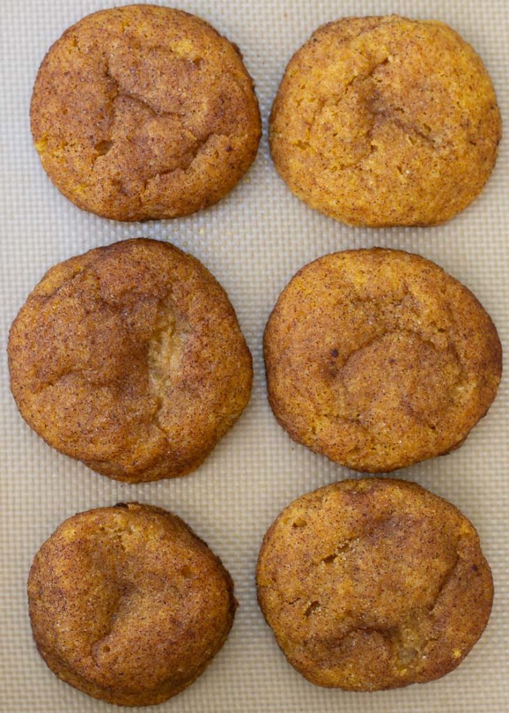 The Best Keto Cookies (31+ Keto Cookie Recipes) - The Best Keto Recipes