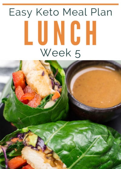 Enjoy these Weekly Keto Lunch Ideas as well as the printable keto grocery list. Easy keto meal planning just got easier with 5 lunches plus a bonus snack recipe!