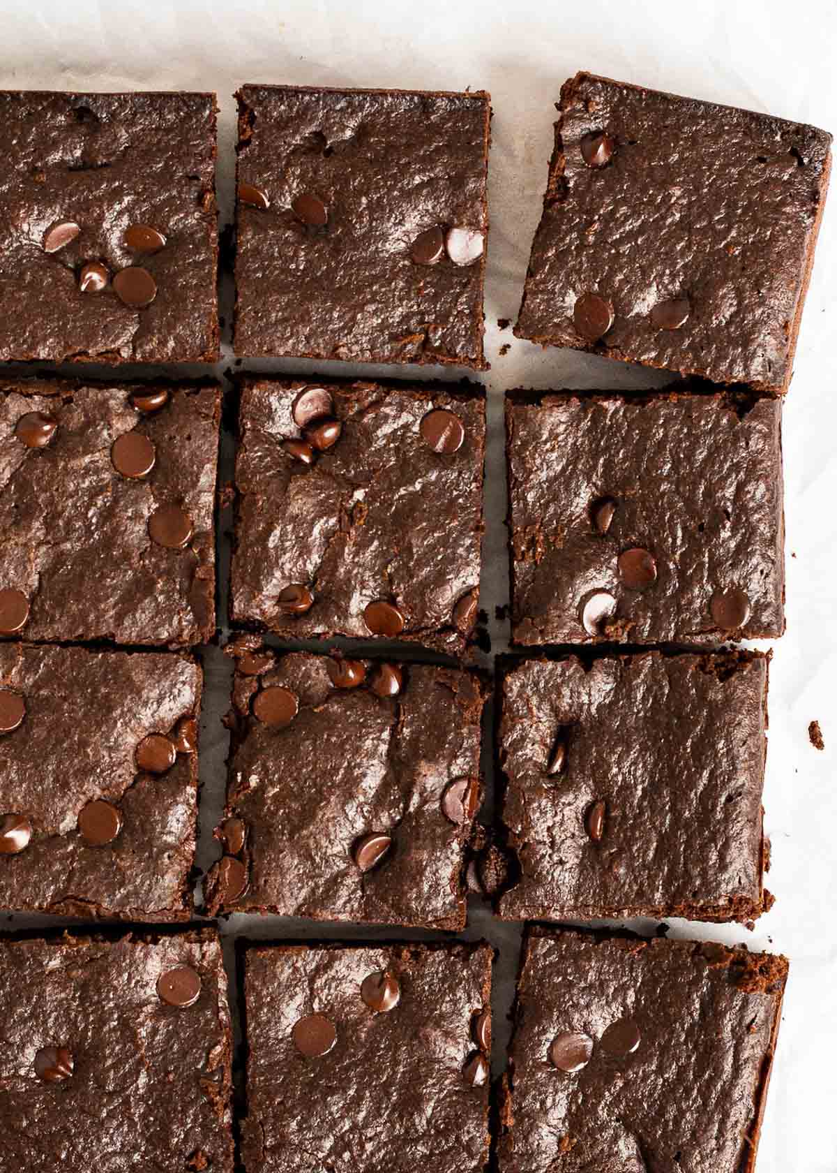 Close up of brownies cut into squares