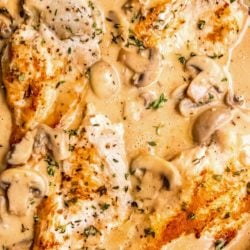 This Creamy Chicken Marsala recipe features tender, seasoned chicken in creamy marsala wine and mushroom sauce. This dinner is perfect for guests because it is a restaurant-quality meal that is deceptively simple to prepare!