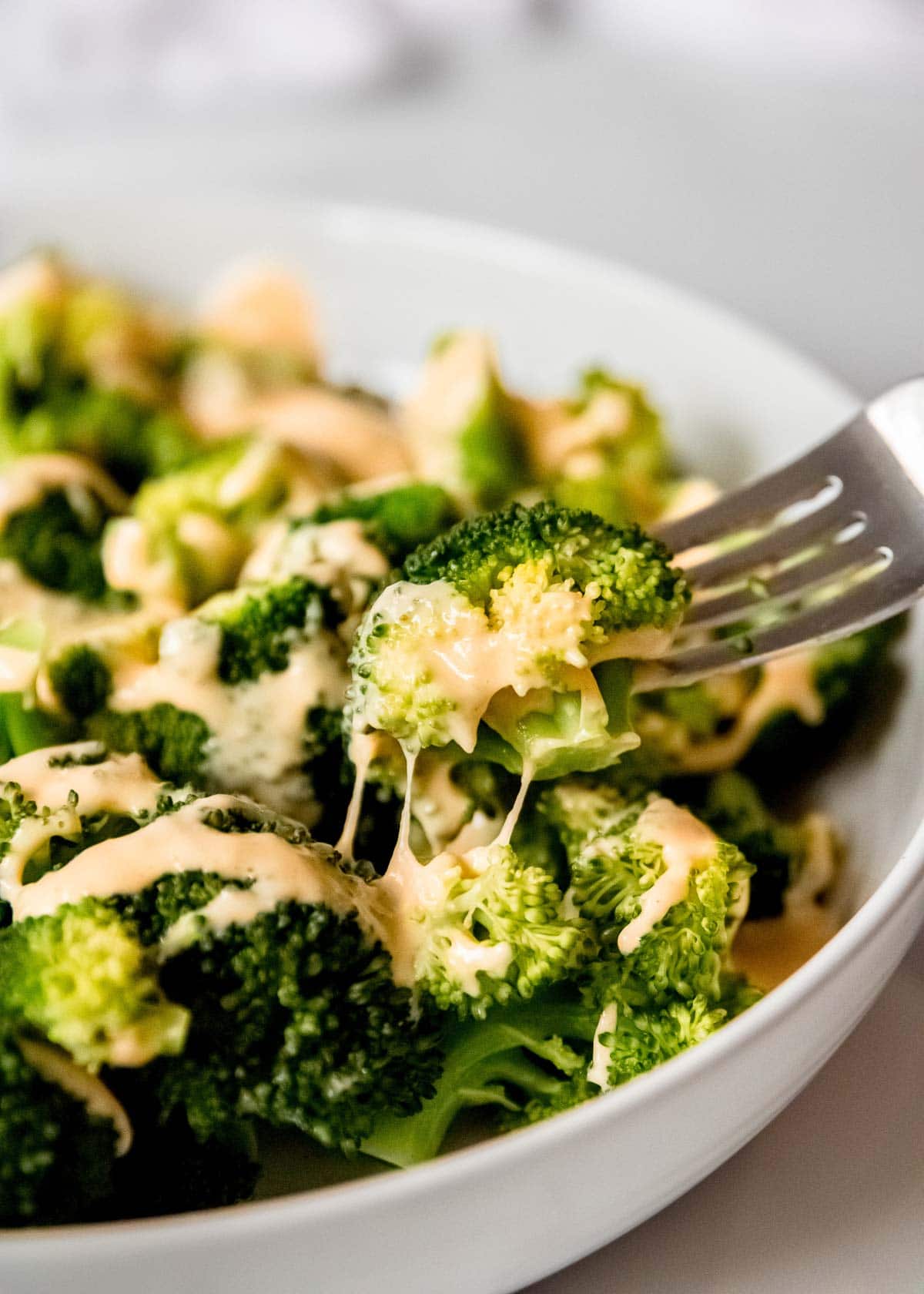 a fork with broccoli and cheese sauce being pulled from the plate