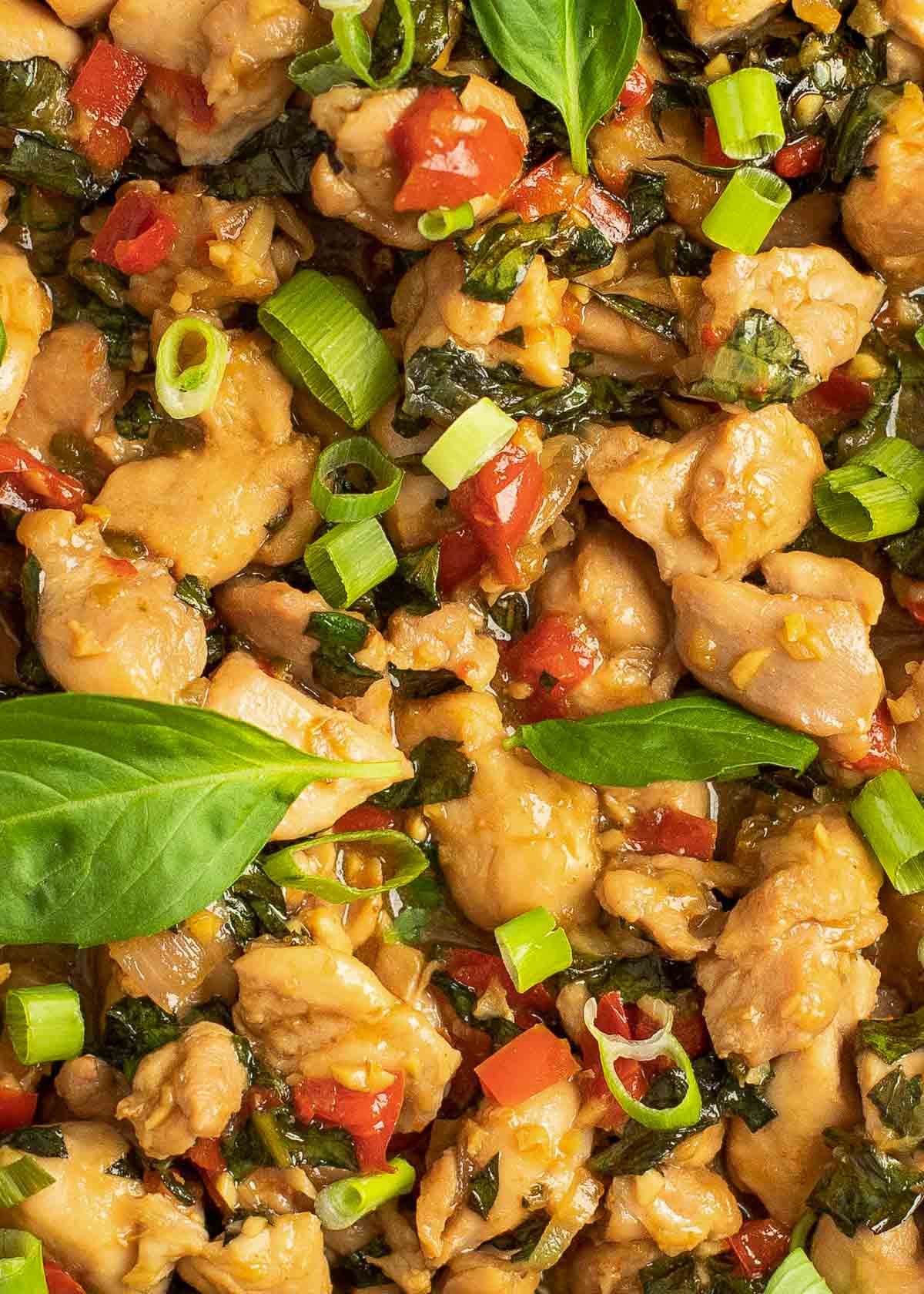 closeup view of juicy thai basil chicken with peppers, shallots, garlic, and green onions