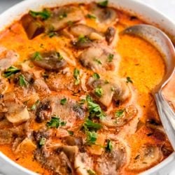 closeup shot of bowl of low-carb mushroom soup