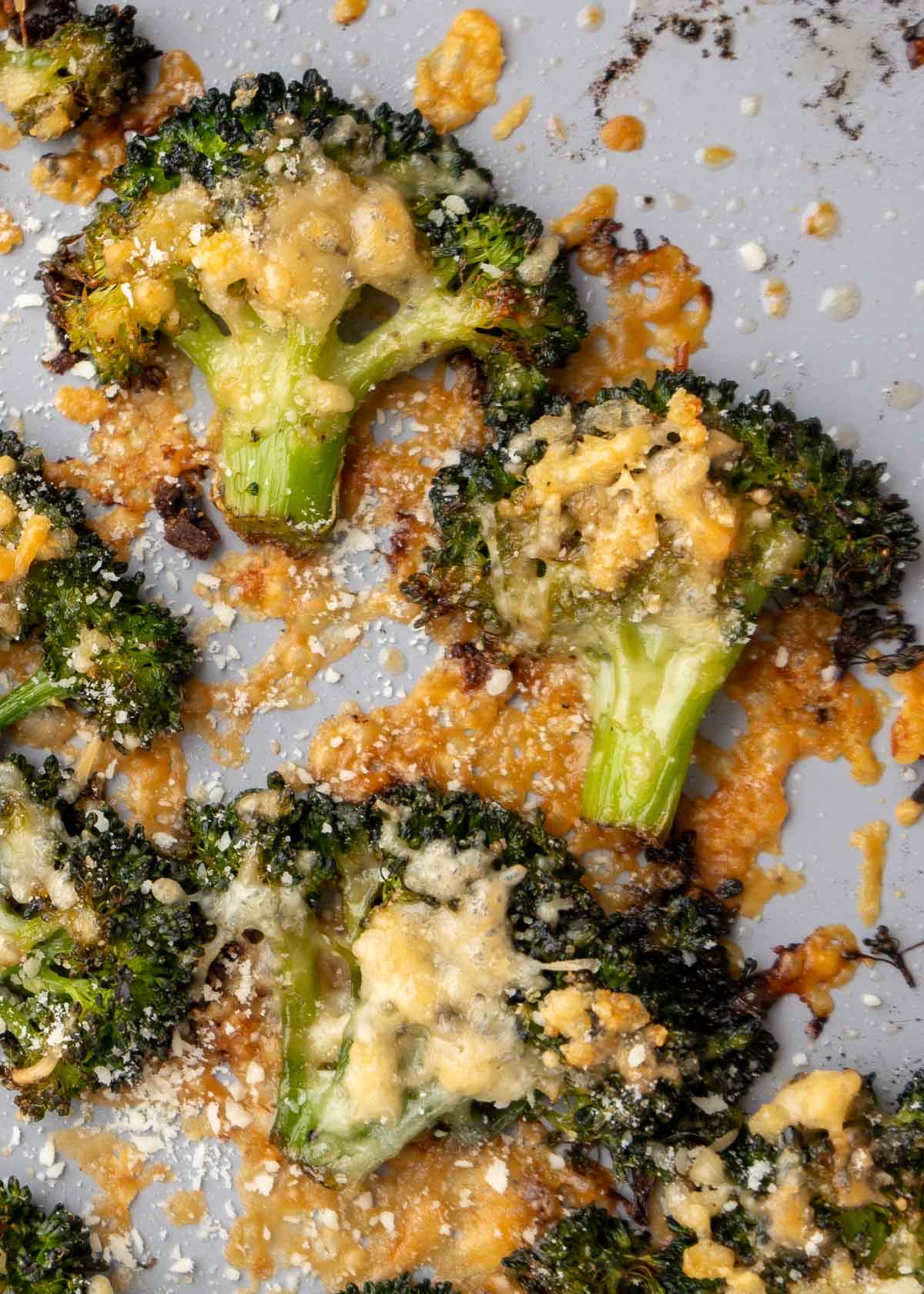 crispy smashed broccoli covered with melted cheese on a baking pan