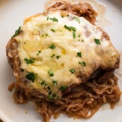 close up, overhead image of french onion pork chop on a white plate