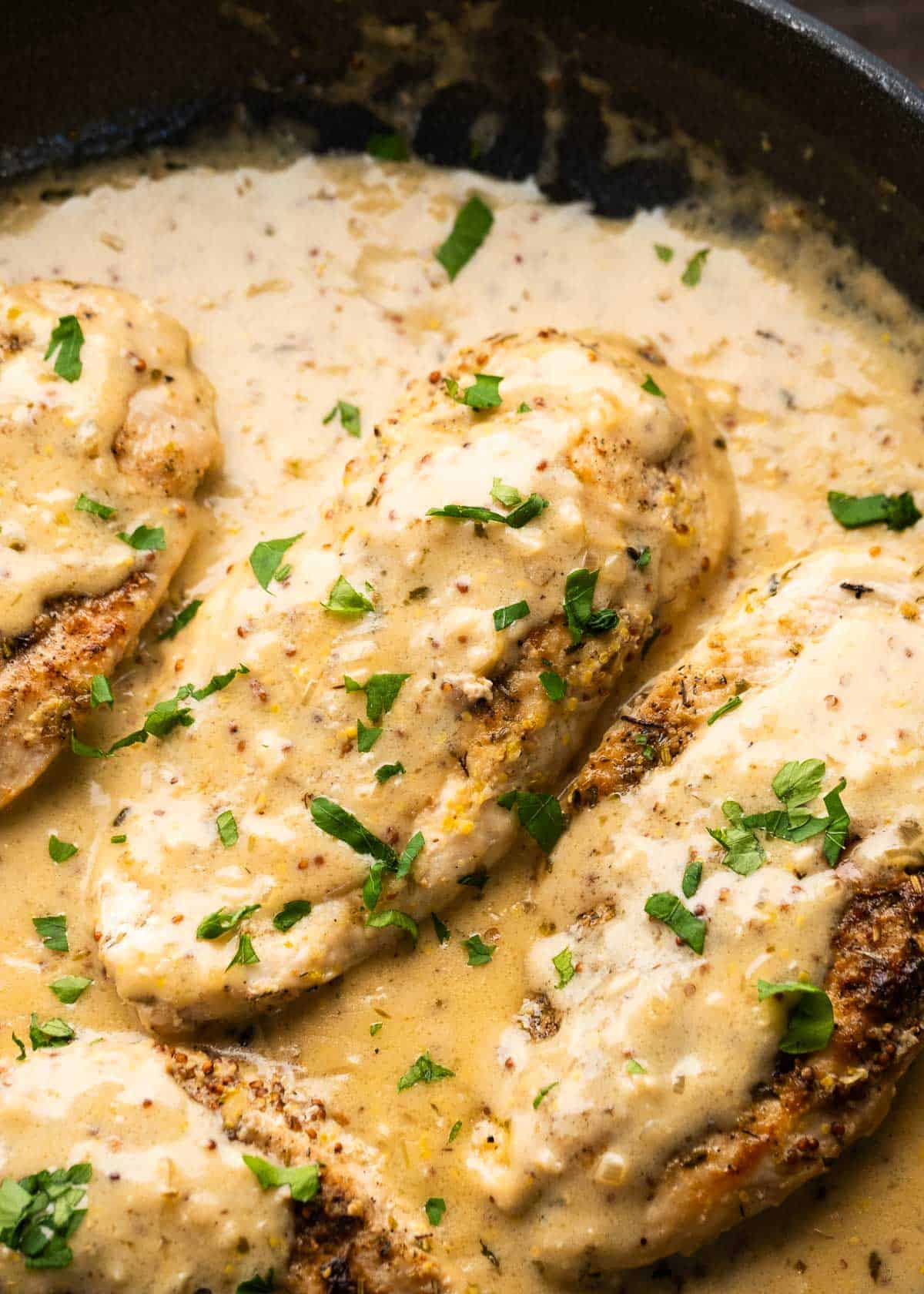 mustard chicken in cast iron skillet