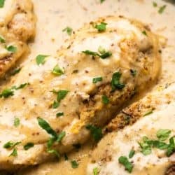 close up of creamy mustard chicken
