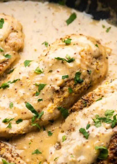 close up of creamy mustard chicken