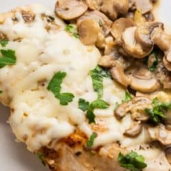 close up image of creamy mushroom chicken on white background