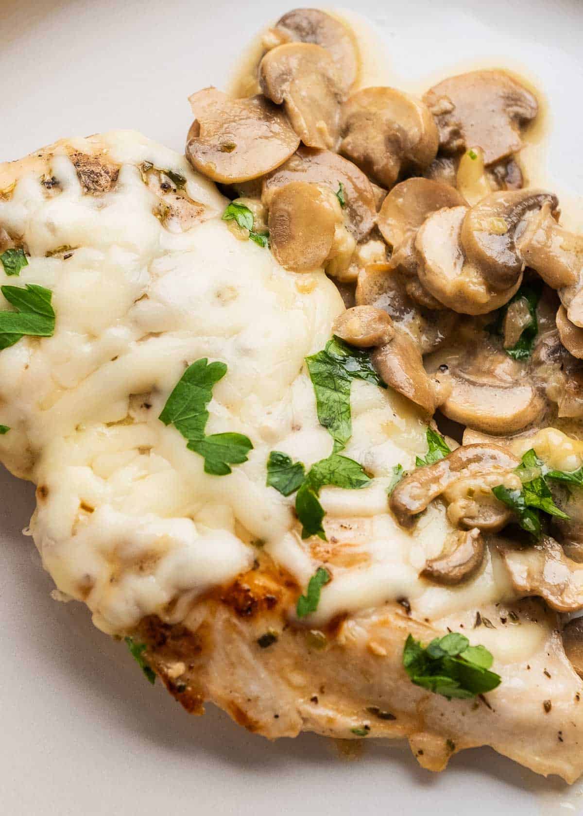 close up image of creamy mushroom chicken on white background