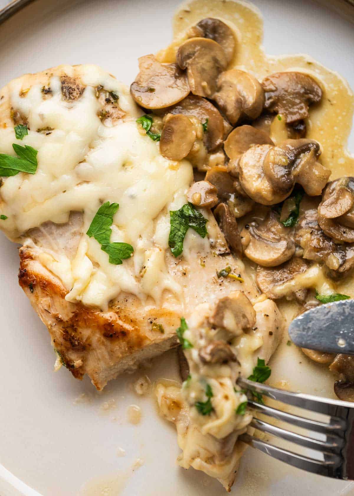 creamy mushroom chicken being sliced on white plate