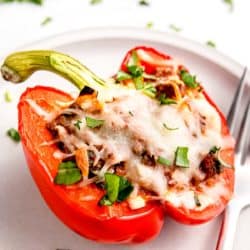 close up, side image of lasagna stuffed pepper on white plate