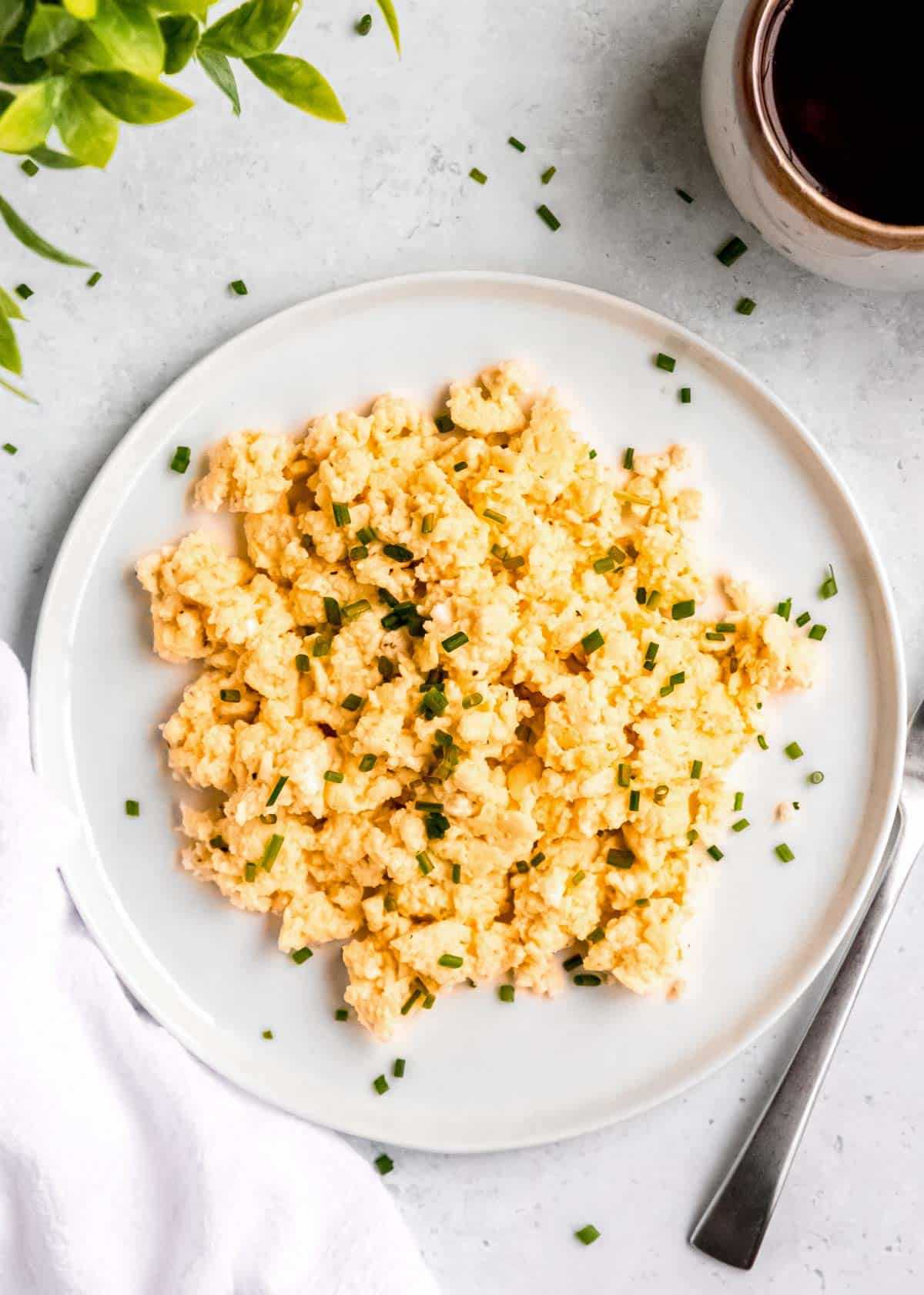 scrambled eggs on plate