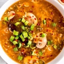 close up overhead image of hot and sour soup in white bowl