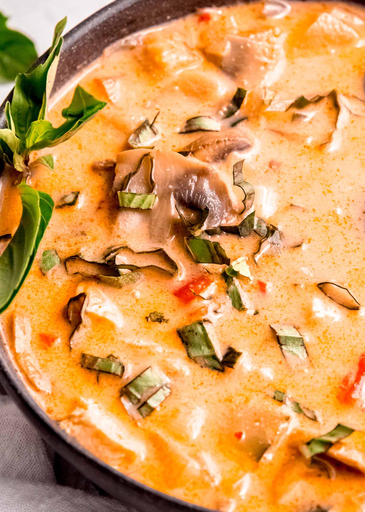 close up, angled image of thai curry chicken soup in black bowl