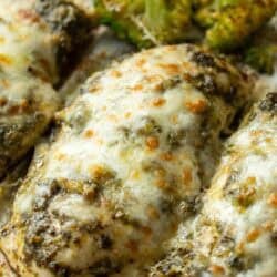 cooked chicken pesto and broccoli in a sheet pan