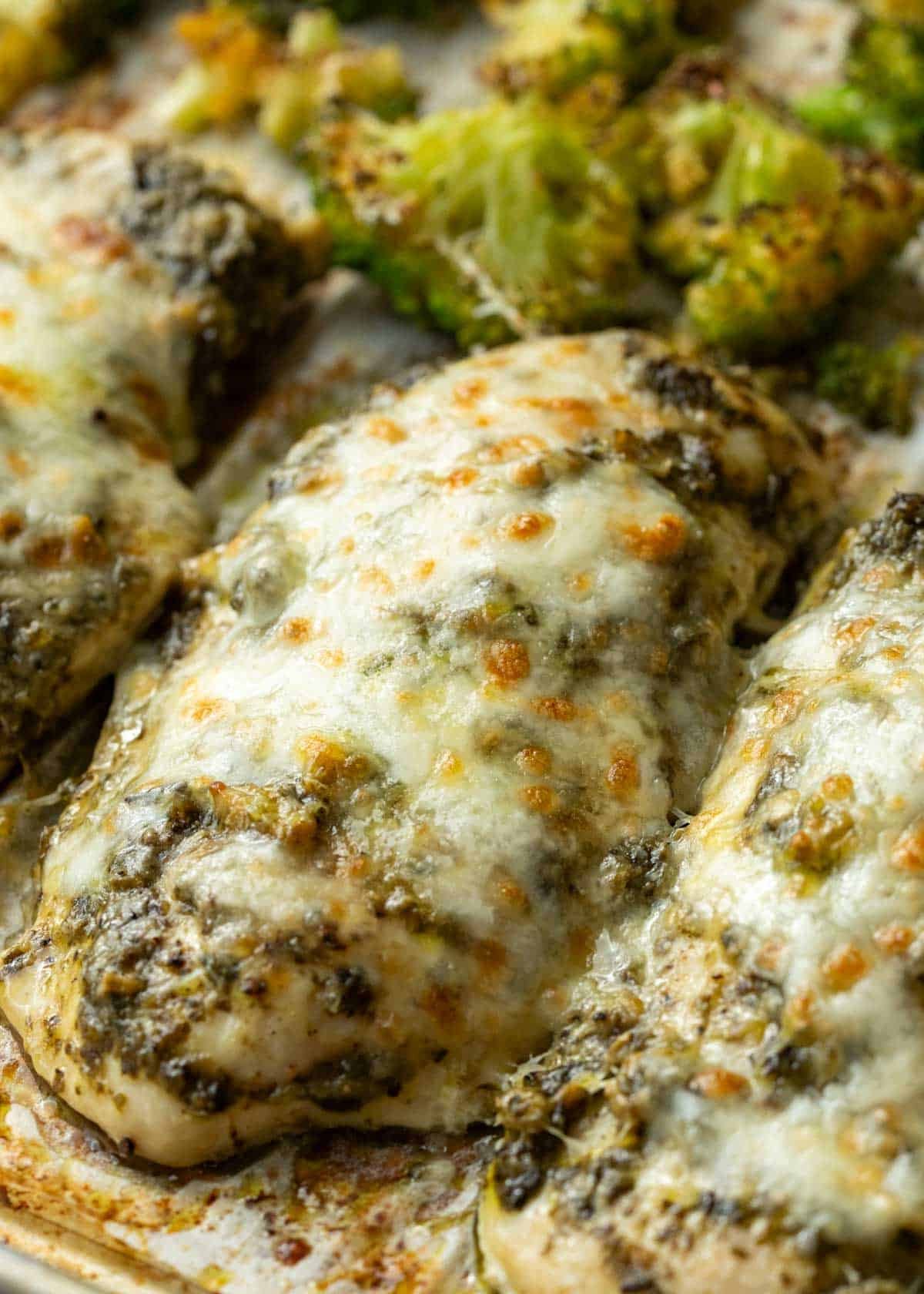 cooked chicken pesto and broccoli in a sheet pan