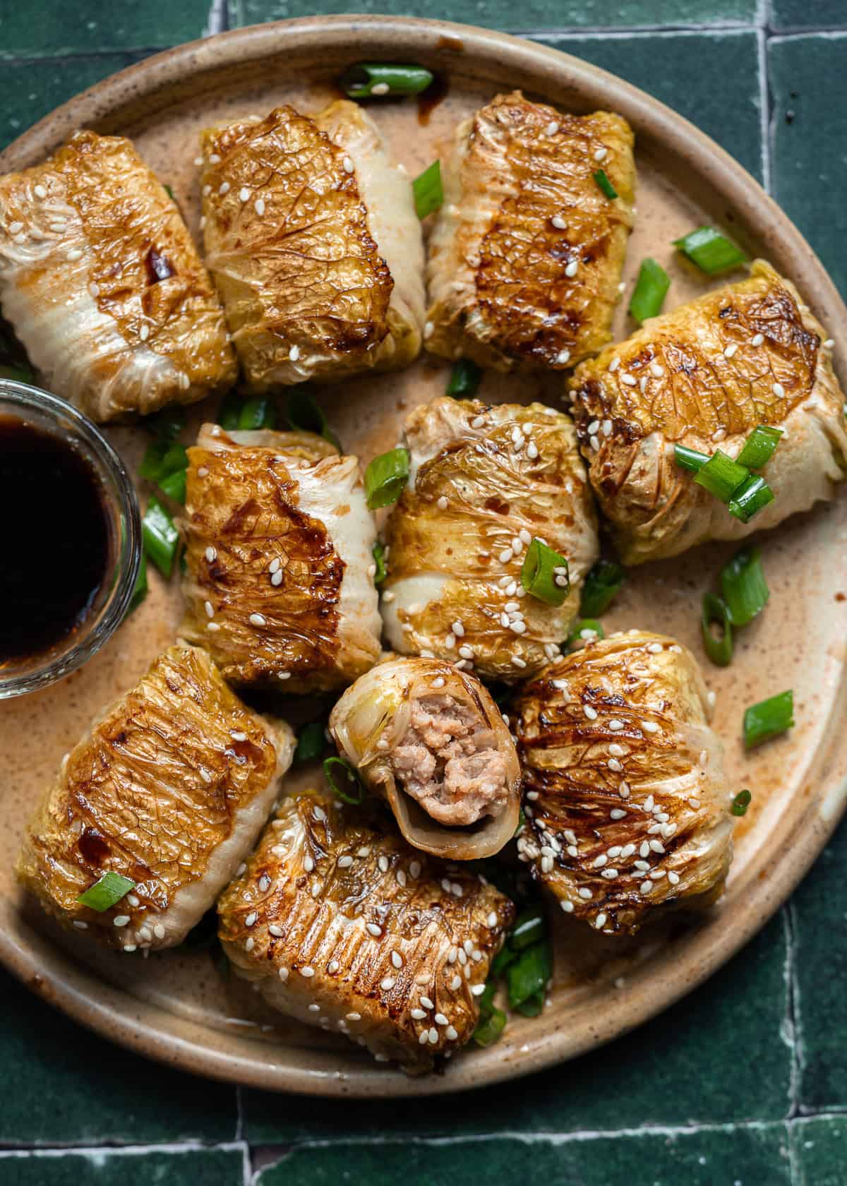 overhead image of cooked pork dumplings on a brown plate 